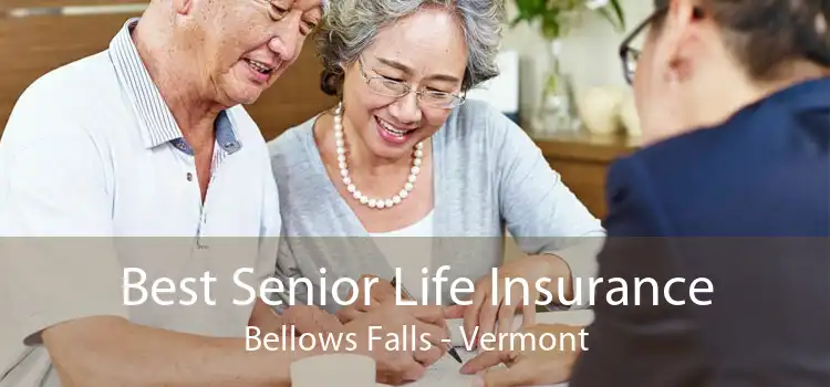 Best Senior Life Insurance Bellows Falls - Vermont