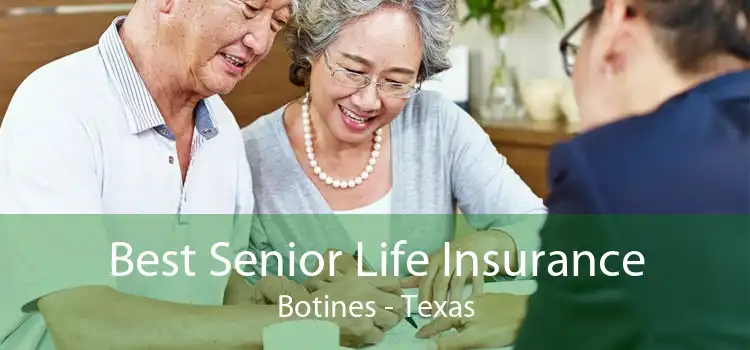 Best Senior Life Insurance Botines - Texas
