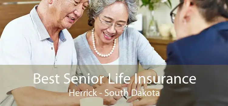 Best Senior Life Insurance Herrick - South Dakota