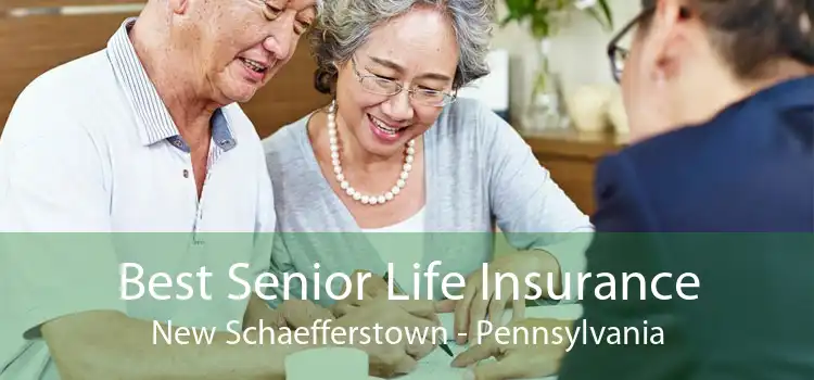 Best Senior Life Insurance New Schaefferstown - Pennsylvania