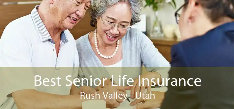 Best Senior Life Insurance Rush Valley - Utah