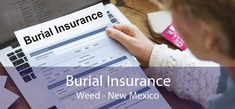 Burial Insurance Weed - New Mexico