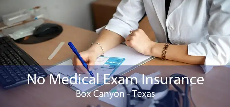 No Medical Exam Insurance Box Canyon - Texas