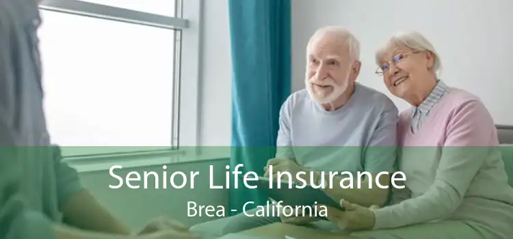 Senior Life Insurance Brea - California