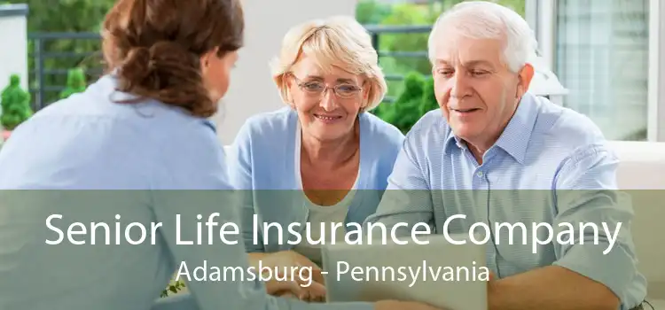 Senior Life Insurance Company Adamsburg - Pennsylvania