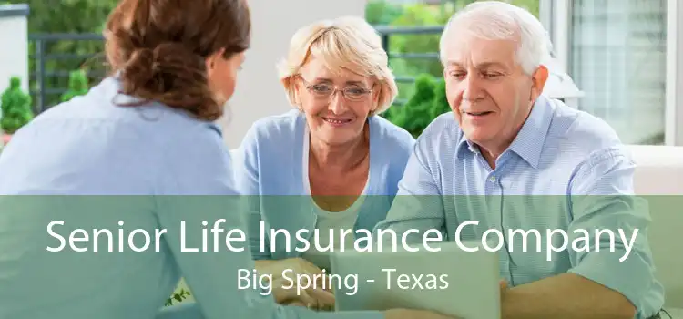 Senior Life Insurance Company Big Spring - Texas