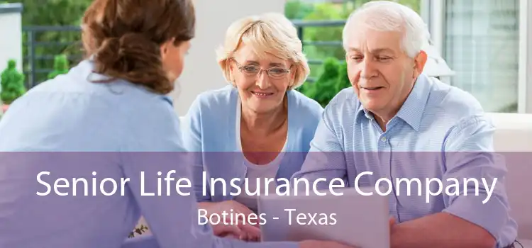 Senior Life Insurance Company Botines - Texas