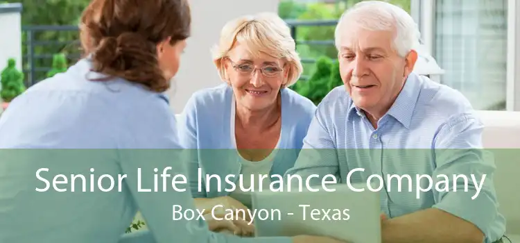 Senior Life Insurance Company Box Canyon - Texas