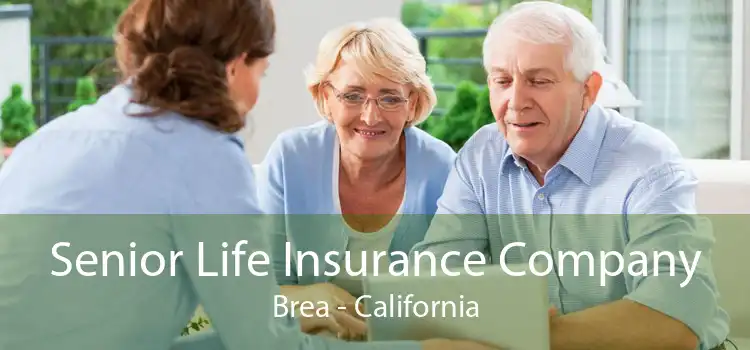 Senior Life Insurance Company Brea - California