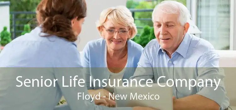 Senior Life Insurance Company Floyd - New Mexico