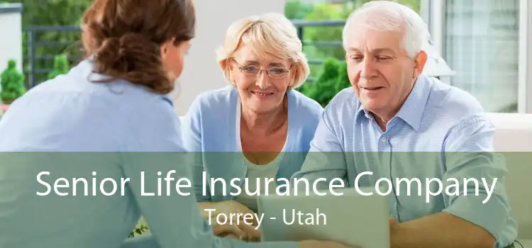 Senior Life Insurance Company Torrey - Utah