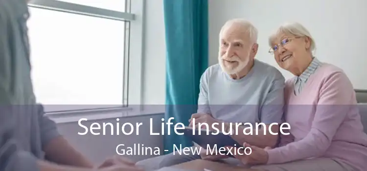 Senior Life Insurance Gallina - New Mexico