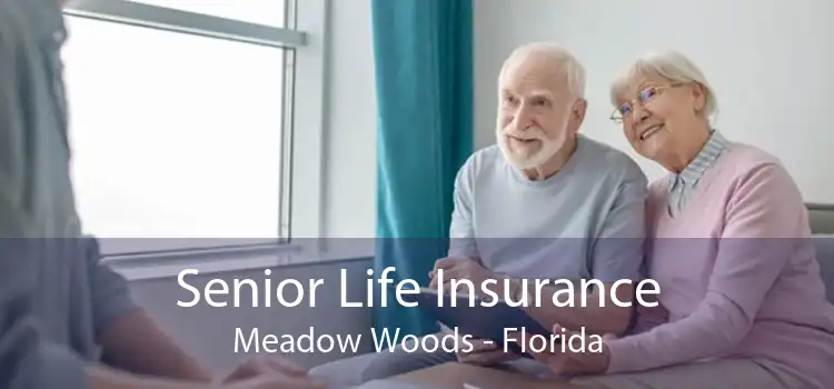 Senior Life Insurance Meadow Woods - Florida