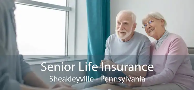 Senior Life Insurance Sheakleyville - Pennsylvania