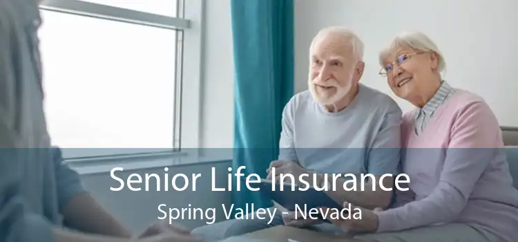 Senior Life Insurance Spring Valley - Nevada