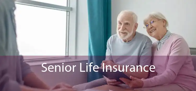 Senior Life Insurance 