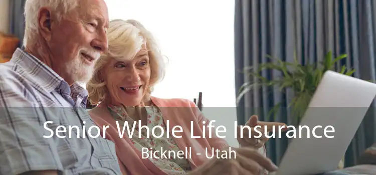 Senior Whole Life Insurance Bicknell - Utah