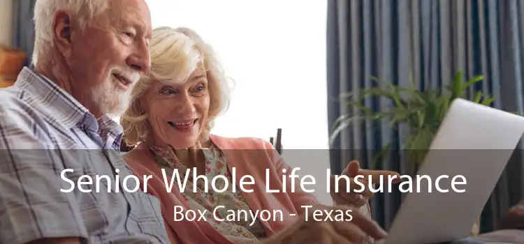 Senior Whole Life Insurance Box Canyon - Texas