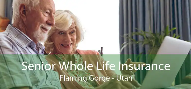 Senior Whole Life Insurance Flaming Gorge - Utah